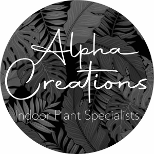 Alpha Creations - Indoor Plant Specialists