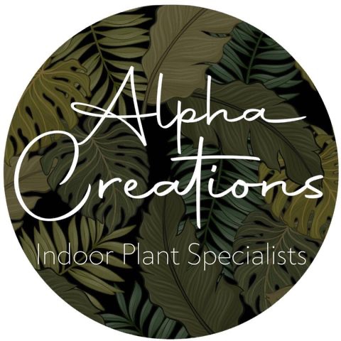 Alpha Creations - Indoor Plant Specialists